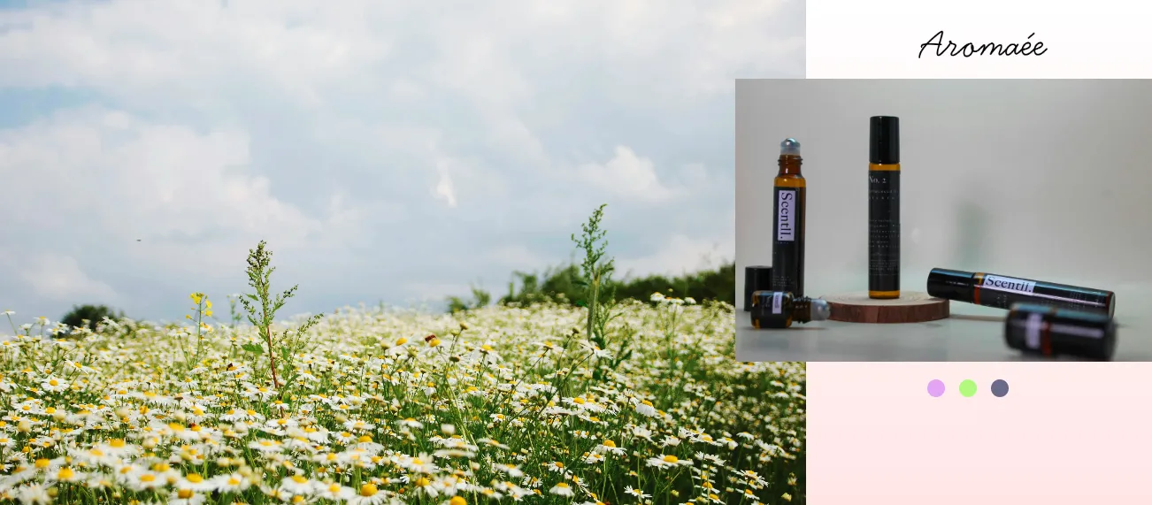 aroma